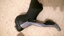 WP_20160229_006.jpg WP_20160229_006.jpg
