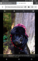 Screenshot_2016-03-15-06-34-13.png