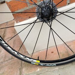 Mavic 1.JPG Mavic 1.JPG