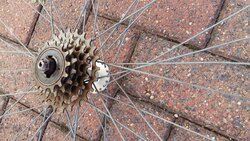 20160330_163311.jpg 20160330_163311.jpg