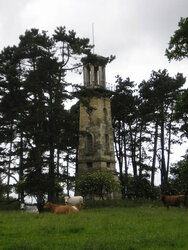 North Yorkshire Scenes. Towton. Grimston Park. 3.JPG