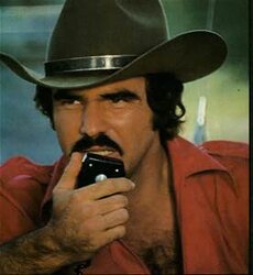 Smokey.jpg