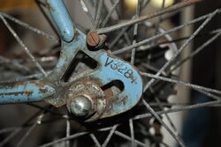 DSC_0794.JPG DSC_0794.JPG