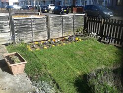 20160504_162551.jpg