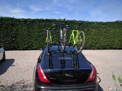 IMG_20160508_113415.jpg