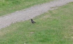 20160516_141428.jpg
