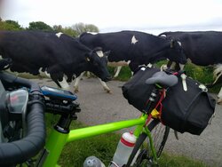 IMG_20160608_110425.jpg