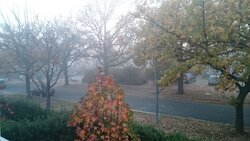 DSC_0241.JPG
