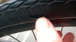 WP_20160620_001.jpg