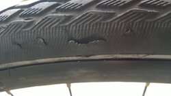 WP_20160620_002.jpg