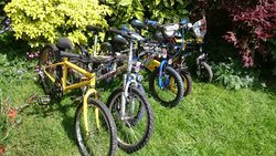 DSC_0868.JPG DSC_0868.JPG