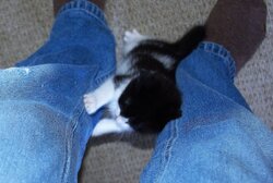 IMGP0932.JPG