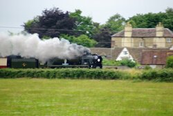 IMGP0990.JPG