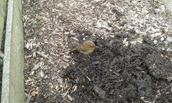 20160705_125602.jpg