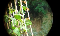 20160717_112037.jpg