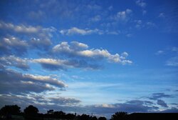 IMGP1128.JPG