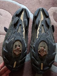 IMG_20160813_085731.jpg