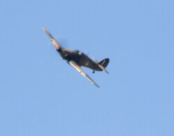 spitfire1.jpg