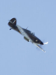 spitfire2.jpg