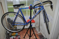 DSC_1195.JPG DSC_1195.JPG