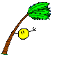 hurrismiley-palm.gif