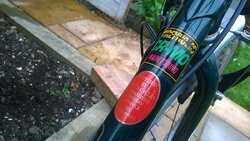 WP_20161030_014.jpg WP_20161030_014.jpg