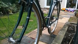 WP_20161030_019.jpg WP_20161030_019.jpg
