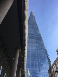 image.jpeg
