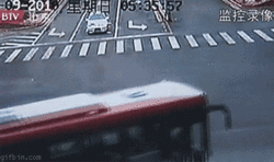 best_animated_gif_lucky_cyclist.gif