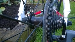 WP_20161113_018.jpg WP_20161113_018.jpg