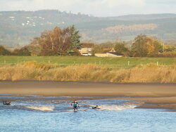 DSCF4298.JPG