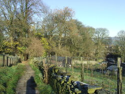 DSCF0480.JPG