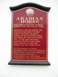 West Yorkshire Scenes. Aberford. Arabian Horse. 3.JPG