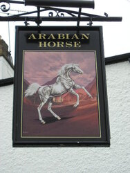 West Yorkshire Scenes. Aberford. Arabian Horse. 4.JPG