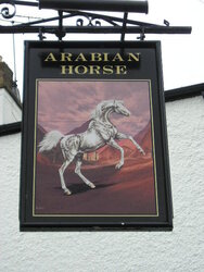 West Yorkshire Scenes. Aberford. Arabian Horse. 4.JPG West Yorkshire Scenes. Aberford. Arabian Horse. 4.JPG
