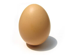 isolated_egg_by_adriantnt.jpg