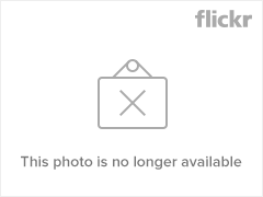 3244999309_95bfd82d64_m.jpg 3244999309_95bfd82d64_m.jpg