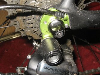 IMG_2250 (800x599).jpg