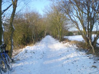 P1160009 Track of old railway..JPG