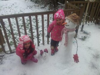 Snowman dog 2013.jpg