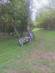 IMAGE_448.jpg IMAGE_448.jpg