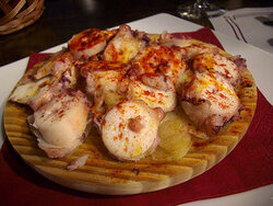 sondemaroctopus2web.jpg
