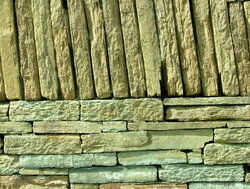 DSCF2485.jpg
