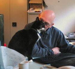 Daddyscat001180408.jpg