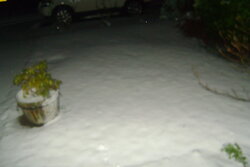 DSC01507.jpg