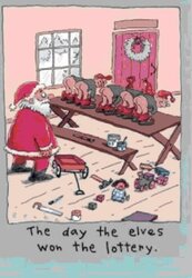 card3.jpg