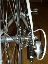 chorusgazelle011.jpg chorusgazelle011.jpg