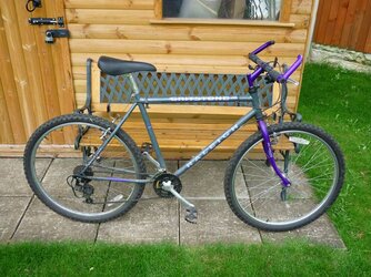 Old raleigh sales mountain bikes