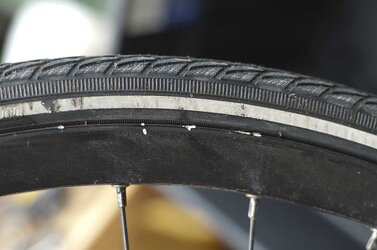 Freedom Disc rim damaged.jpg Freedom Disc rim damaged.jpg