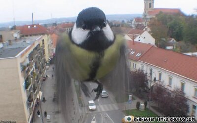!cid_981CE91B4DB14FAB960D9316B99C685A@yourg2asvv4l2m.jpg